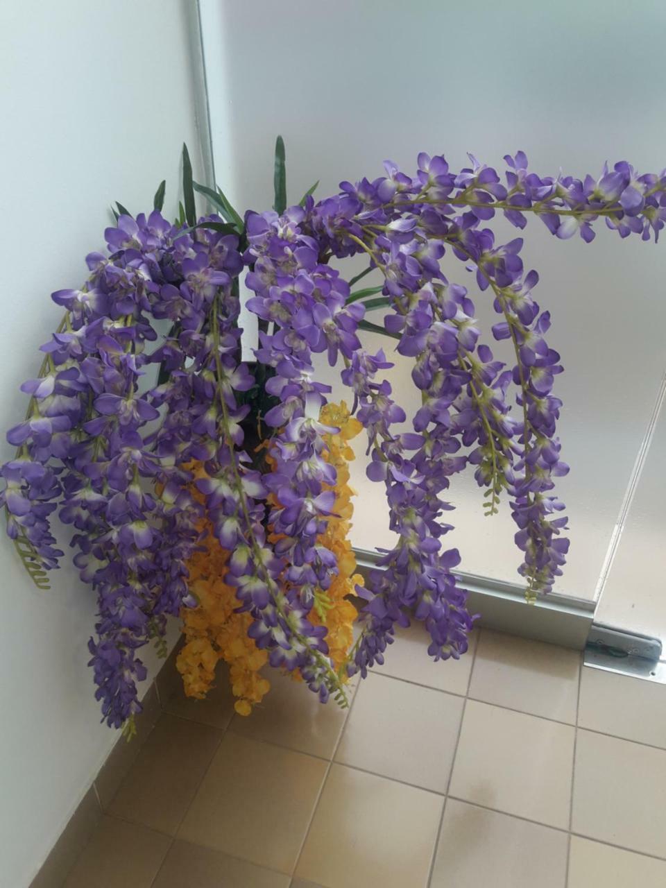 Hotel Casa Jardin Asunción Eksteriør bilde